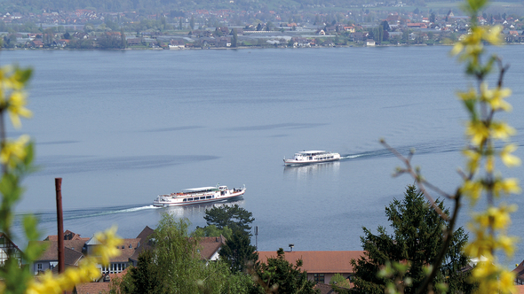 Zwei sich kreuzende Kursschiffe auf dem Bodensee, von einer Anhöhe fotografiert.